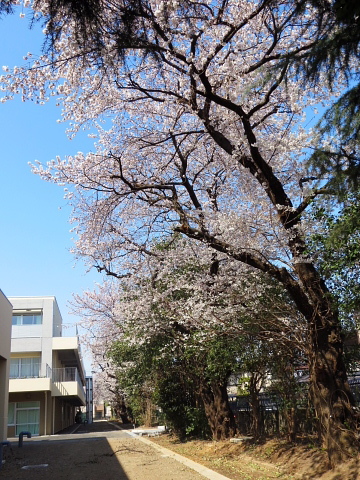 道新Today 2000年 5月道内１５５高校　大学合格者数一覧　若き日の大泉洋 道新Today 2000年 5月道内155高校 大学合格者数一覧